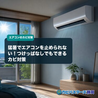 猛暑でエアコンを止められない！つけっぱなしでもできるカビ対策