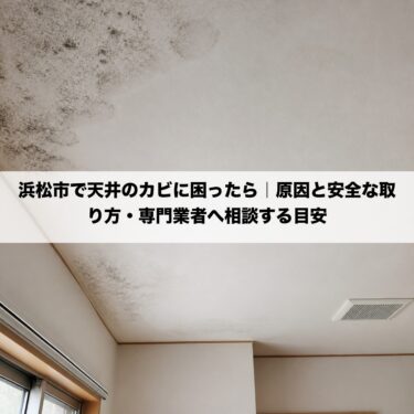 浜松市で天井のカビに困ったら｜原因と安全な取り方・専門業者へ相談する目安