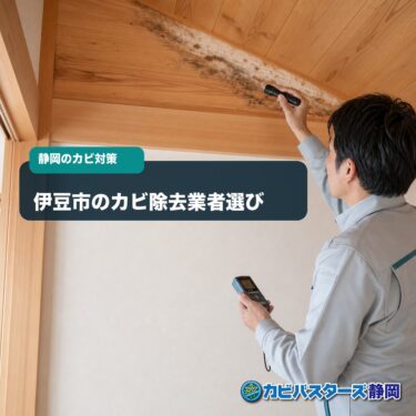 伊豆市でカビ除去業者を選ぶポイント｜木造住宅の湿気と施工方法