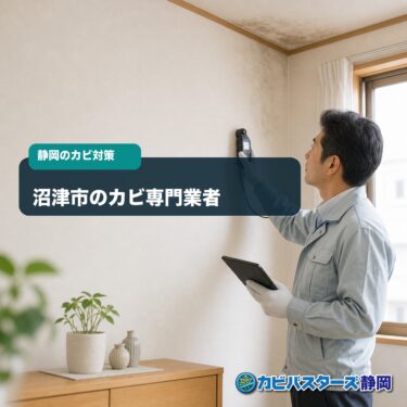 沼津市で信頼できるカビ専門業者を選ぶには｜調査・費用・施工の確認点