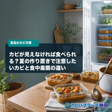 カビが見えなければ食べられる？夏の作り置きで注意したいカビと食中毒菌の違い