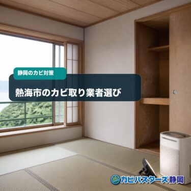 熱海市のカビ取り業者選び｜別荘・木造住宅の湿気と施工方法を解説