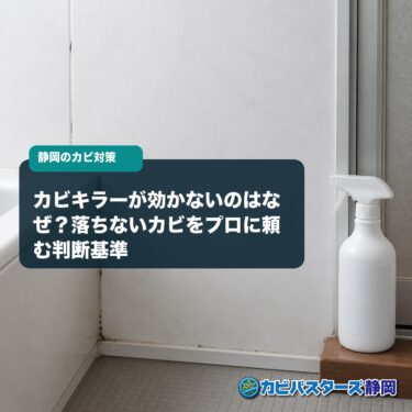 カビキラーが効かないのはなぜ？落ちないカビをプロに頼む判断基準