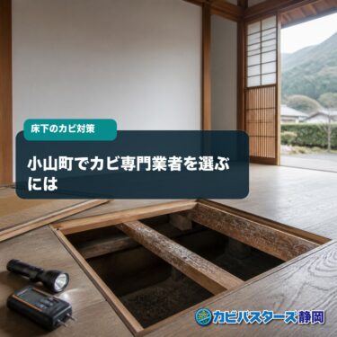 小山町でカビ専門業者を選ぶには｜床下・木部の湿気調査と除去方法