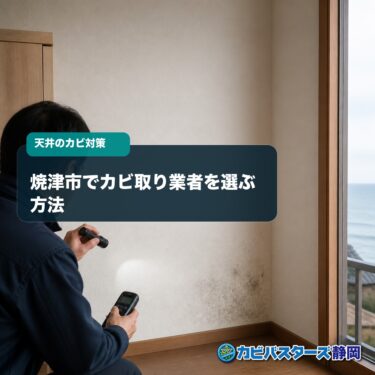 焼津市でカビ取り業者を選ぶ方法｜壁・天井の原因調査と費用の確認点