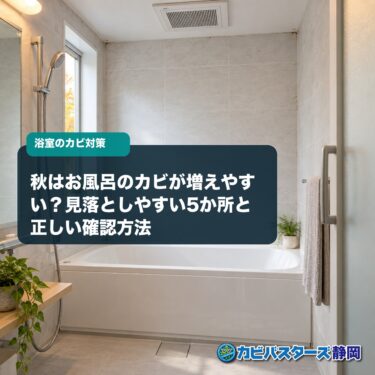 秋はお風呂のカビが増えやすい？見落としやすい5か所と正しい確認方法