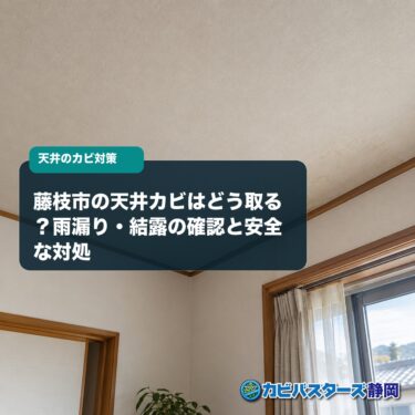 藤枝市の天井カビはどう取る？雨漏り・結露の確認と安全な対処