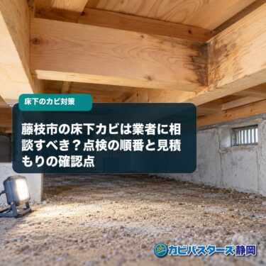 藤枝市の床下カビは業者に相談すべき？点検の順番と見積もりの確認点