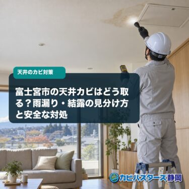 富士宮市の天井カビはどう取る？雨漏り・結露の見分け方と安全な対処