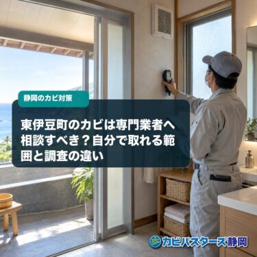 東伊豆町のカビは専門業者へ相談すべき？自分で取れる範囲と調査の違い