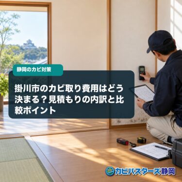 掛川市のカビ取り費用はどう決まる？見積もりの内訳と比較ポイント