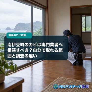 南伊豆町のカビは専門業者へ相談すべき？自分で取れる範囲と調査の違い