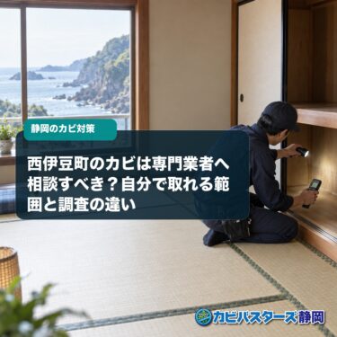 西伊豆町のカビは専門業者へ相談すべき？自分で取れる範囲と調査の違い