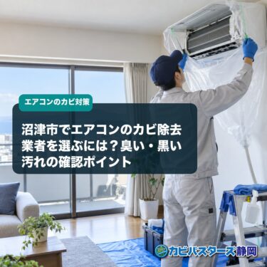 沼津市でエアコンのカビ除去業者を選ぶには？臭い・黒い汚れの確認ポイント
