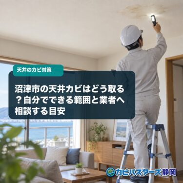 沼津市の天井カビはどう取る？自分でできる範囲と業者へ相談する目安