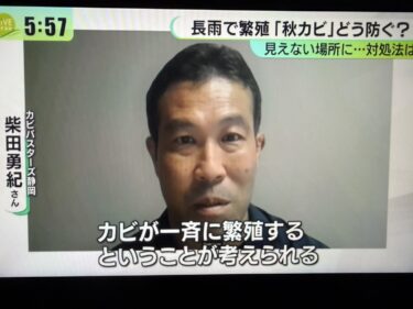 SBSテレビの「秋カビ」特集でカビバスターズ静岡が取材を受けました