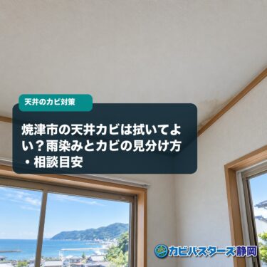焼津市の天井カビは拭いてよい？雨染みとカビの見分け方・相談目安