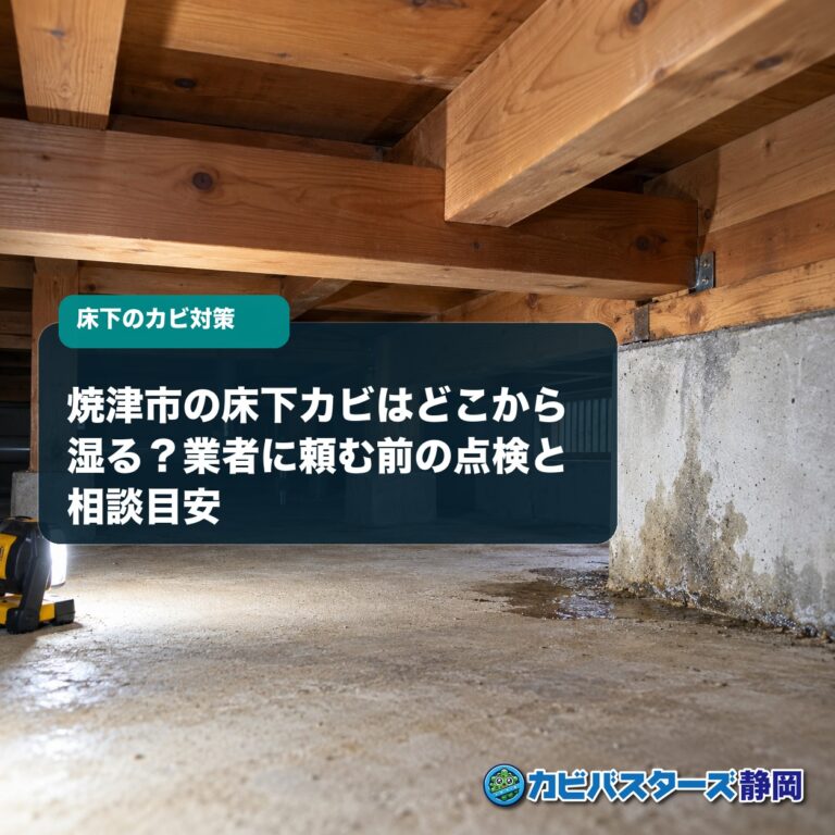 焼津市の床下カビはどこから湿る？業者に頼む前の点検と相談目安