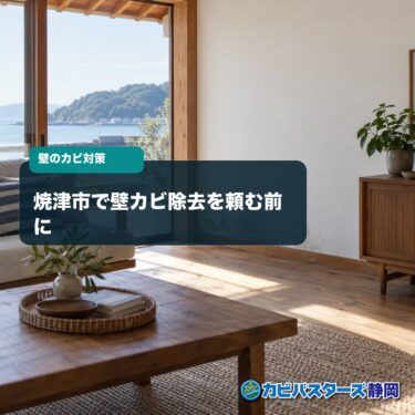 焼津市で壁カビ除去を頼む前に｜結露・雨水・下地の確認方法