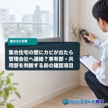 集合住宅の壁にカビが出たら管理会社へ連絡？専有部・共用部を判断する前の確認項目
