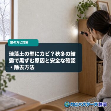 珪藻土の壁にカビ？秋冬の結露で黒ずむ原因と安全な確認・除去方法