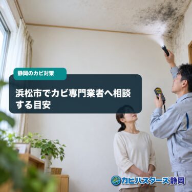 浜松市でカビ専門業者へ相談する目安｜清掃業者との違いと調査内容