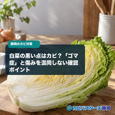 白菜の黒い点はカビ？「ゴマ症」と傷みを混同しない確認ポイント