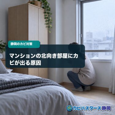 マンションの北向き部屋にカビが出る原因｜静岡の秋冬にできる結露対策