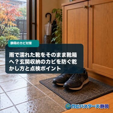雨で濡れた靴をそのまま靴箱へ？玄関収納のカビを防ぐ乾かし方と点検ポイント