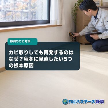 カビ取りしても再発するのはなぜ？秋冬に見直したい5つの根本原因