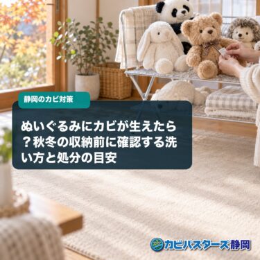 ぬいぐるみにカビが生えたら？秋冬の収納前に確認する洗い方と処分の目安