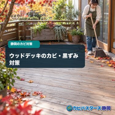 ウッドデッキのカビ・黒ずみ対策｜秋の落ち葉掃除から冬前の点検まで