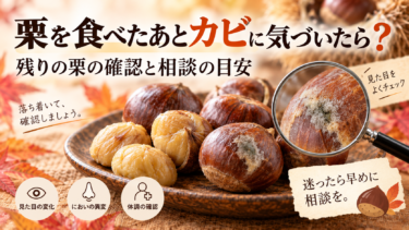 栗を食べたあとカビに気づいたら？残りの栗の確認と相談の目安